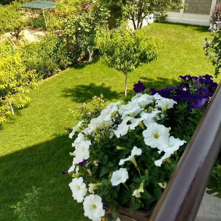 In Golden Sands Park Near The Sea